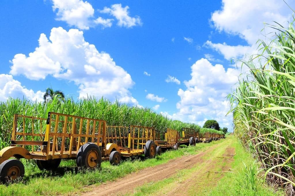 Oportunidad de Inversión: Finca Cañera en Guaimate – 834 Tareas con Código 