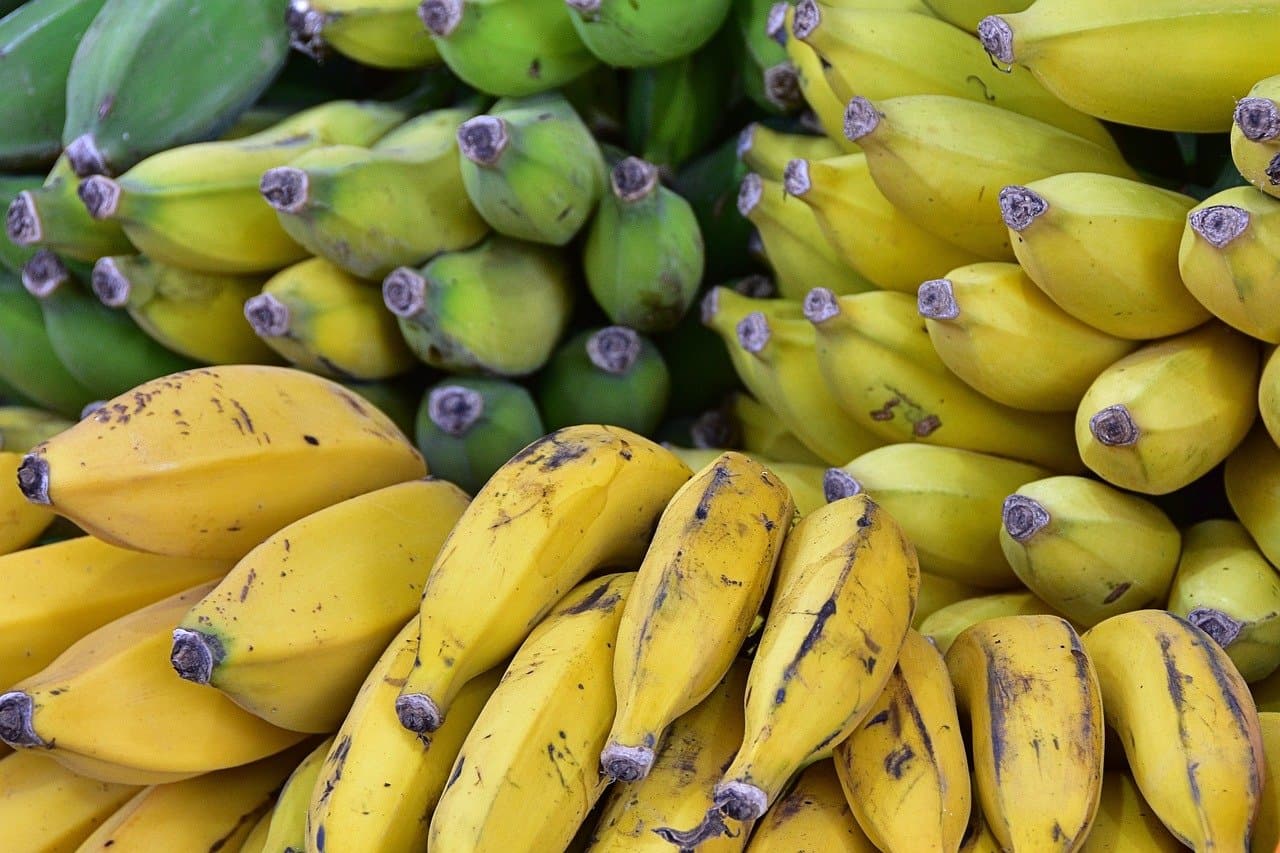 Cost of living in the Dominican Republic