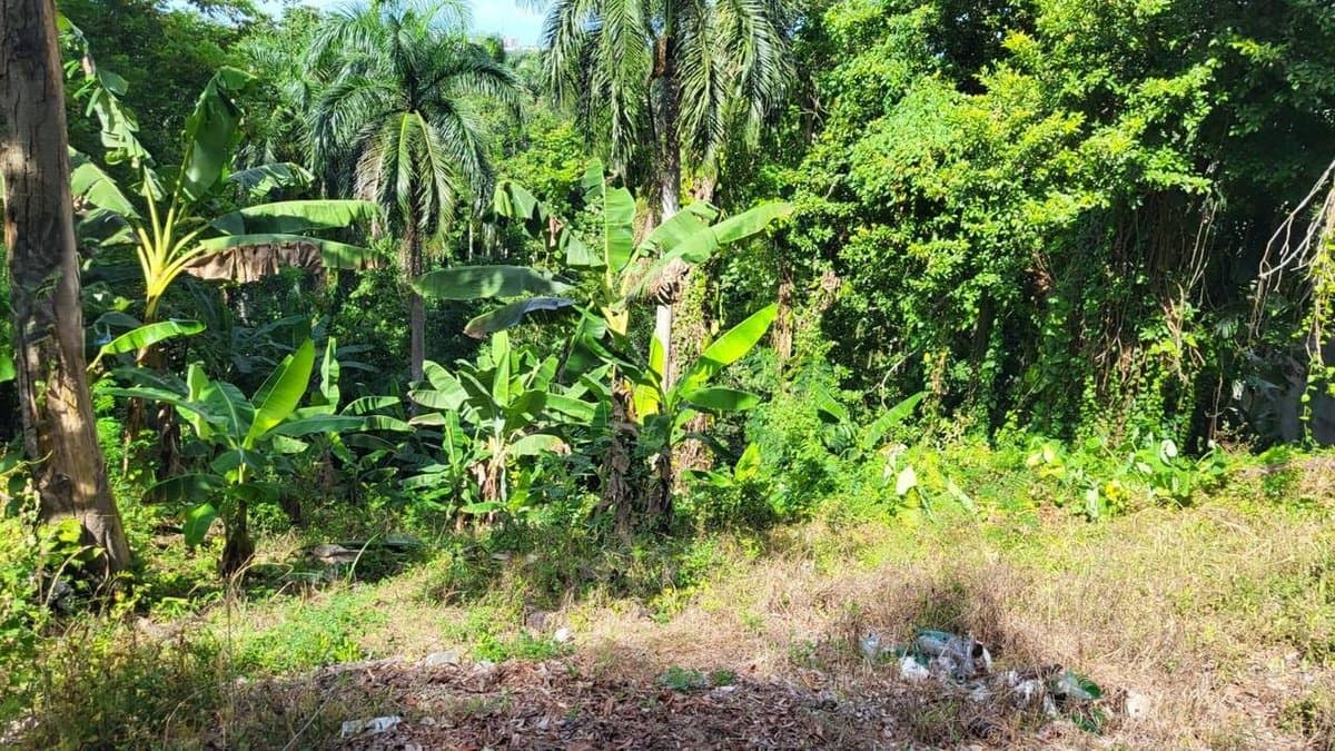 Solar en Venta en Cuesta Brava, Zona Residencial