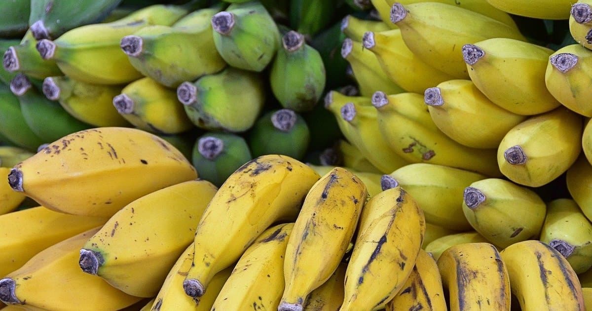 What is the cost of living in the Dominican Republic?