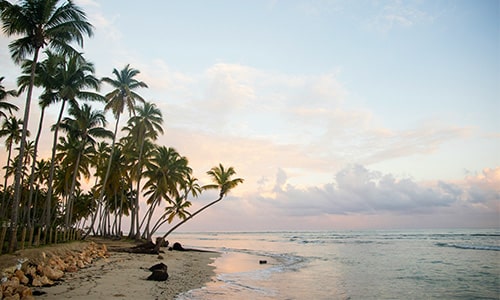 Tropical beach with palm trees at sunrise