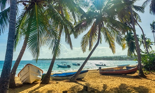 Tropical beach with palm trees and boats on shore.