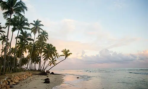 Tropical beach with palm trees at sunset